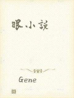 眼小说
