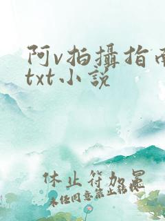 阿v拍摄指南说txt小说