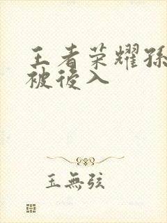 王者荣耀孙尚香被后入