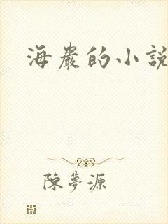 海岩的小说