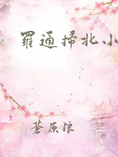 罗通扫北小说
