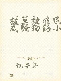 校草被催眠洗脑成骚狗的小说