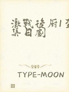 激战后厨1至5集日剧