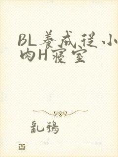 BL养成从小被肉H寝室