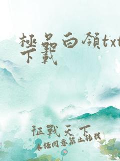 极品白领txt下载