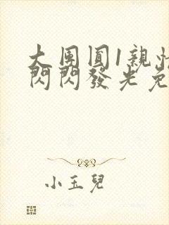 大团圆1亲情会闪闪发光免费