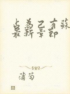 占为己有苏静初最新章节