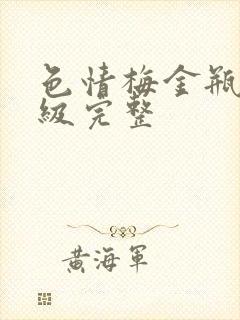 色情梅金瓶2三级完整