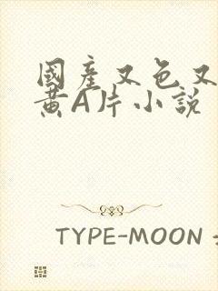 国产又色又爽又黄A片小说