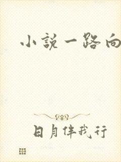 小说一路向西