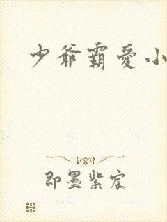 少爷霸爱小丫头