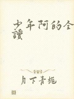 少年阿的全文阅读