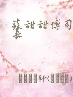 苏甜甜傅司衍机长