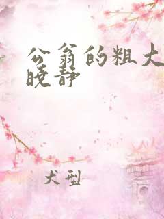 公翁的粗大放进晓静