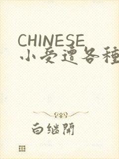 CHINESE小受遭各种打桩