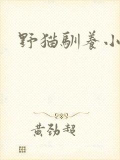 野猫驯养小说