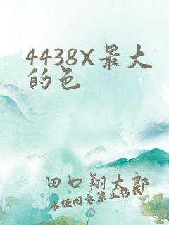 4438X最大的色