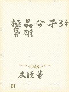 极品公子3续世枭雄