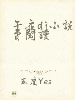 午夜dj小说免费阅读