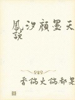 凤汐颜墨天问小说