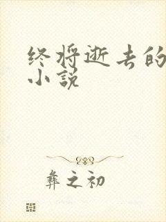 终将逝去的青春小说