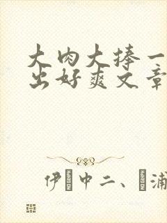 大肉大捧一进一出好爽文章