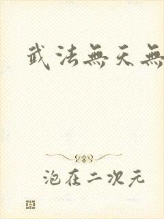 武法无天无弹窗