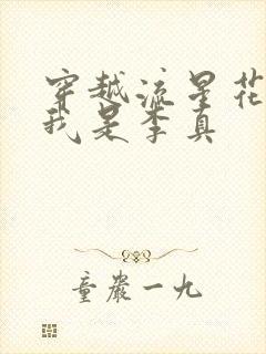 穿越流星花园之我是李真