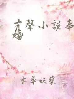 有声小说奉子成婚