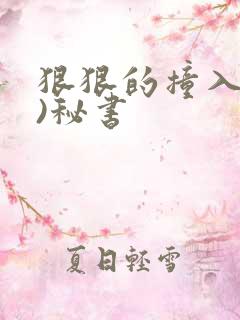 狠狠的撞入(h)秘书