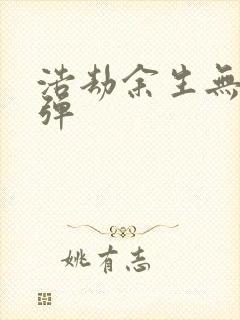 浩劫余生无限子弹