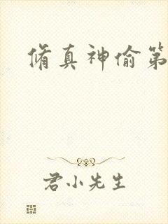 修真神偷第二部