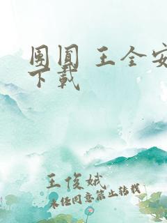 团圆 王全安 下载