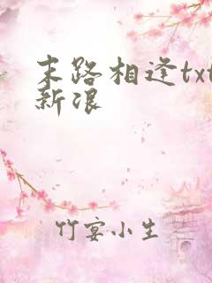 末路相逢txt新浪