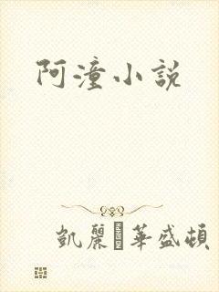 阿潼小说