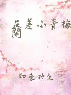 反差小青梅笔趣阁