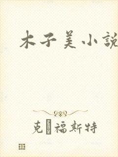 木子美小说