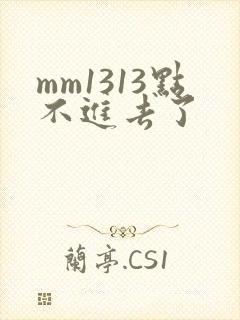 mm1313点不进去了