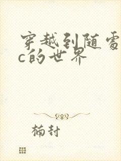 穿越到随处可以c的世界