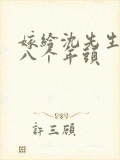 嫁给沈先生的第八个年头