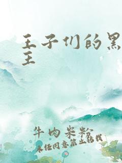 王子们的黑道公主