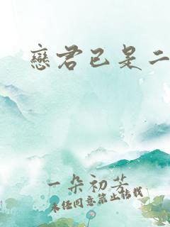 恋君已是二十年