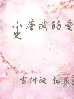 小唐璜的爱情历史