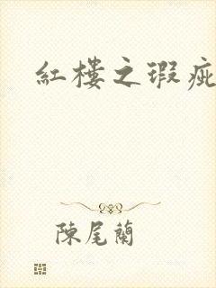 红楼之瑕疵