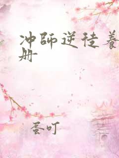 冲师逆徒养成手册