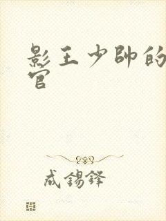 影王少帅的女长官