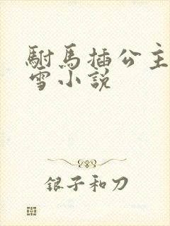 驸马插公主恋战雪小说