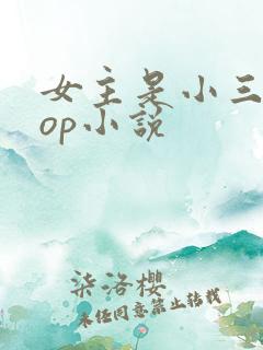 女主是小三的pop小说