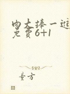 肉大捧一进一出免费6+1