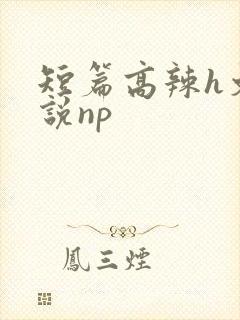 短篇高辣h文小说np